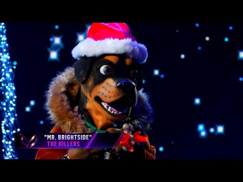 Rottweiler "Chris Daughtry" - Mr. Brightside (Masked Singer S2E11)