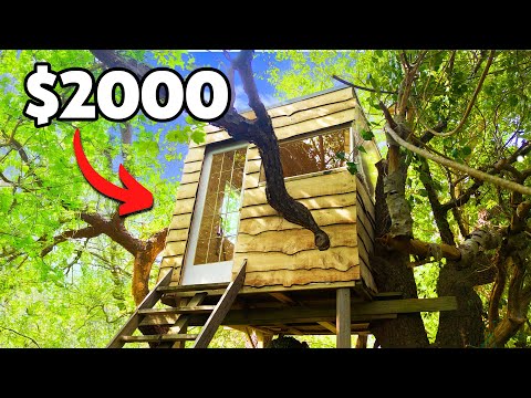 I Tried to Build a Cozy Treehouse for $2000