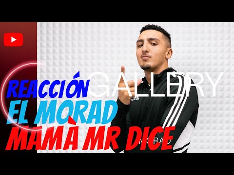 Morad - Mama me dice | GALLERY SESSION ( REACT)
