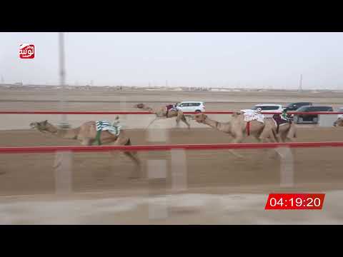  ش 4 (صوع) لـ خادم عيسى بن سعيد المنصوري 6:33:26 ، مهرجان العين 2026/08/09 حول وزمول الوثبة