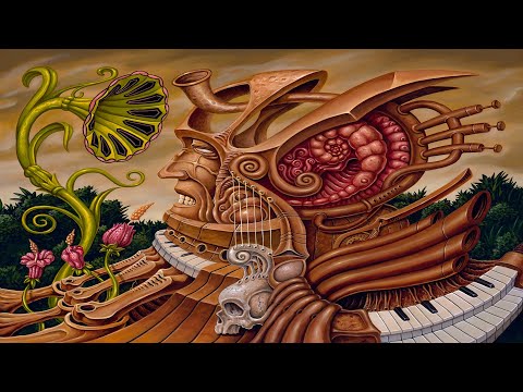 The Most Insane DPT Trip Reports of All-Time