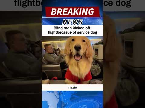 Blind man kicked off flightbecasue of service dog #news#shorts