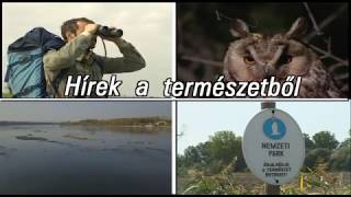 TERMÉSZET HÍREI