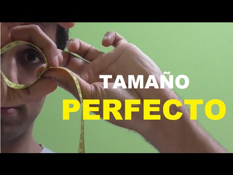¿Cuanto mide un pene de tamaño perfecto para las mujeres?