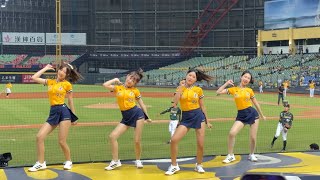 【畇二 儀諪 盈瑩 汶汶】中場表演#PassionSisters#台湾チアリーディングチーム チアリーディングチーム チーム#中華職棒#CPBL#洲際#20241001
