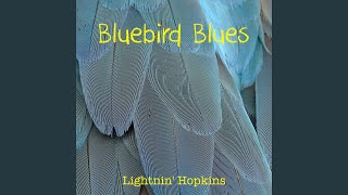 Rocky Mountain Blues