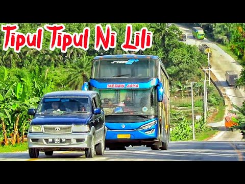 Tipul Tipul Ni Lili || By DOLIS TRIO feat Bus SUMATERA || Lagu Batak