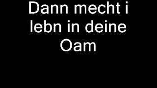 Georg Danzer - In deine Oam (für Dagmara) (Lyrics)