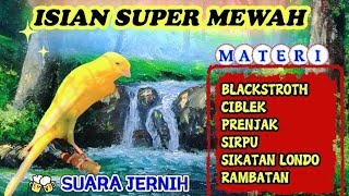 Download lagu MASTERAN KENARI FULL ISIAN . SUARA JERNIH mp3