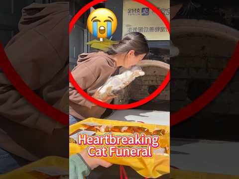 Heartbreaking Cat Funeral
