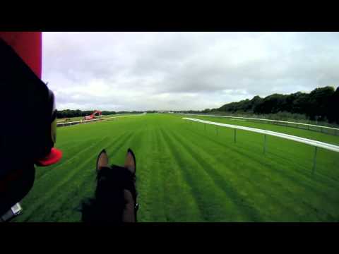 Betfred Sprint Cup course ride