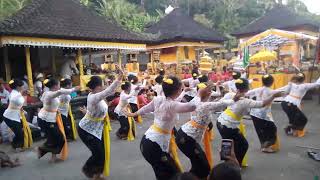 Download lagu Rejang Sari Pura Dalem Selisihan mp3 Download lagu Rejang Sari Pura Dalem Selisihan mp3