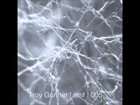 Troy Gunner - Swoon