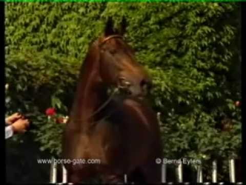 Gut Neuenhof Estobar NRW, Mutter Muttervater Florestan I