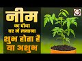 Is Planting A Neem Tree In The House Auspicious Or Inauspicious Know