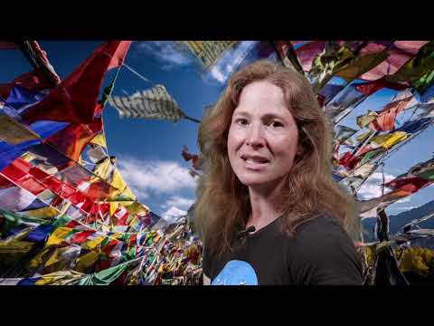 Okna pro Tibetský dům