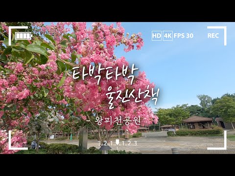 [타박타박 울진산책] 늦여름의 왕피천공원