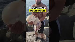Download lagu The Consequences of Carelessly Holding Jellyfish mp3 Download lagu The Consequences of Carelessly Holding Jellyfish mp3