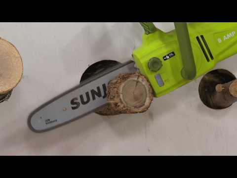 Sun Joe 10" Electric 2-in-1 Telescopic Pole Chainsaw on QVC