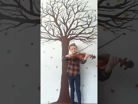 ZOTA LUCA ȘTEFAN- Studiul 15, Hans Sitt (vioară)