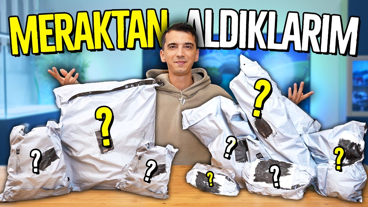 Meraktan Aldıklarım 2025! Toplu Paket Açılışı