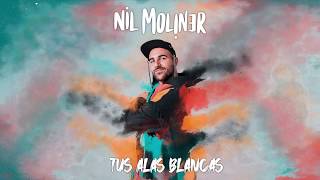 Tus Alas Blancas Lyrics English Translation