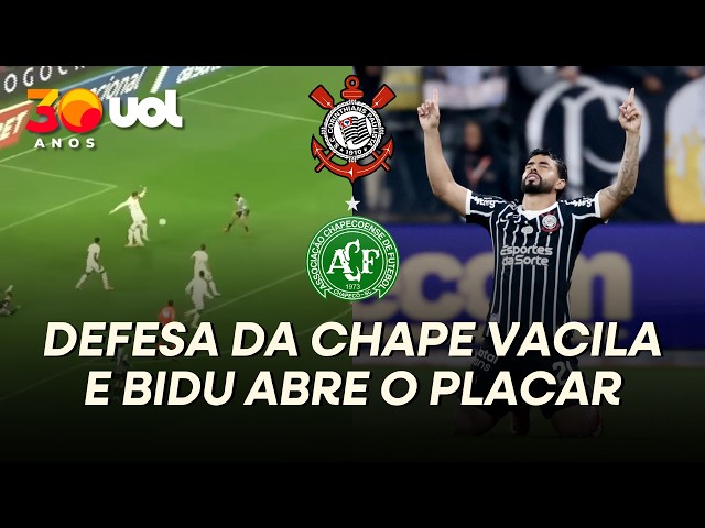Chape vira