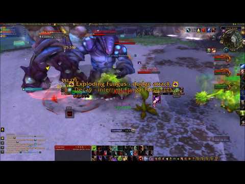 Highmaul Mythic - Brackenspore Solo