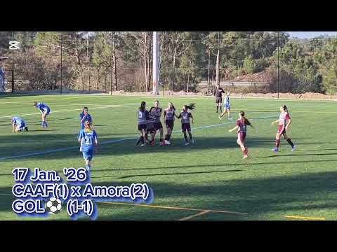 Golo vs Amora