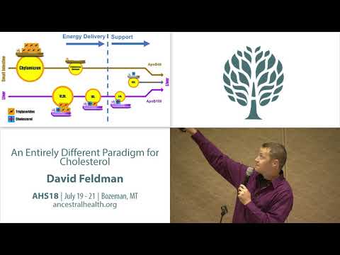 AHS18 Dave Feldman - An Entirely Different Paradigm for Cholesterol