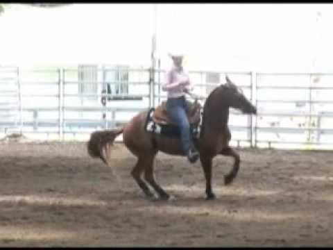 FRHA NRHA Hale Bopp Reining w/Lena