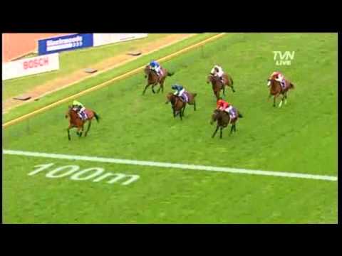 The Age Caulfield Guineas Barrier Draw