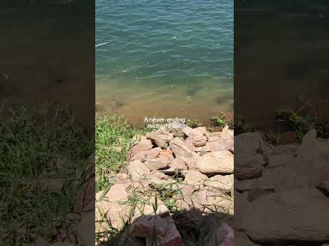 Obrigado #RioSaoFrancisco #nordeste #sergipe #vidaboa #canhoba #amparo #propria