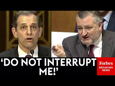 速報：テッド・クルーズ、ミネソタ州の不正行為を巡り証人と激しい対立 (BREAKING NEWS: Ted Cruz Has Fiery Clash With Witness Over Minnesota Fraud)