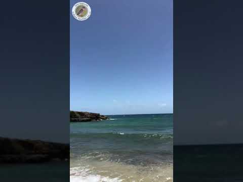 The words for sun in the Eyéri language 🌞