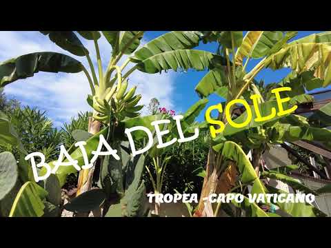 BAIA DEL SOLE - Holiday resort near Tropea - personal review