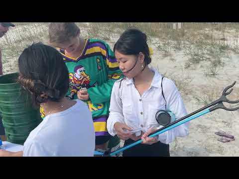 Cosette Bryndal Beaches Go Green Application