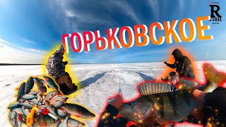 Отчеты о рыбалке на горьковском море 2020