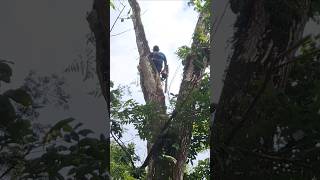 Download lagu bukti BETAPA sulitnya mencari sesuap nasi!!!!! mp3 Download lagu bukti BETAPA sulitnya mencari sesuap nasi!!!!! mp3