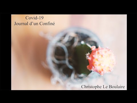 Journal d'un confiné