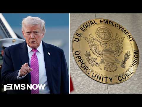 If there’s no data, then there’s no red flags: How to gut civil rights enforcement in the workplace