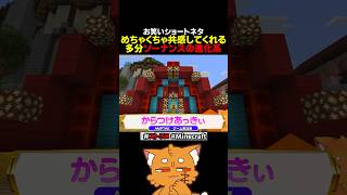 共感してくれるソーナンスの進化系【#ズズ #stpr #からつけあっきぃ #minecraft #マイクラ #ストリヌ 】#shorts
