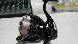 Daiwa exist hyper branzino 2508r