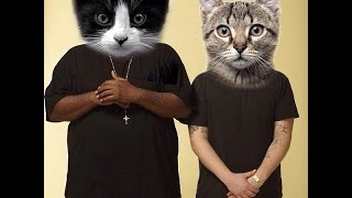 Meow The Jewels - Meowrly (Prod. by Boots) (Run The Jewels)