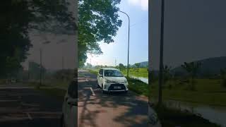 Download lagu bunga ditepi jalan #koesplus #nostalgia #pemandangan #suasanapedesaan #shortvideo #youtube mp3