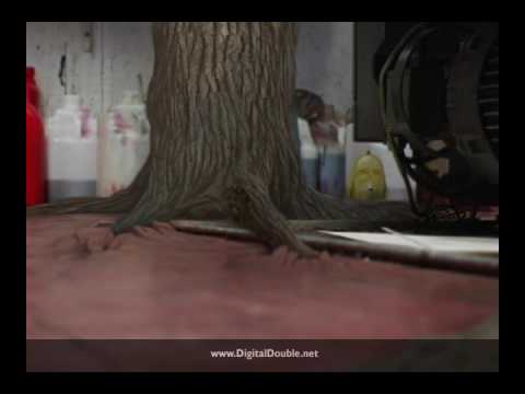 Digital Double video.