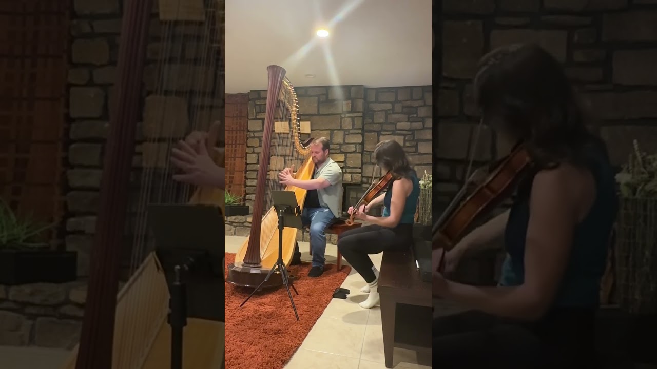 Promotional video thumbnail 4 for Metsker Violin