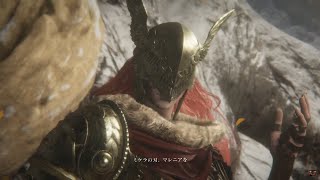 ８週目マレニア短剣パリィ討伐