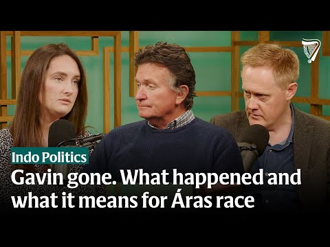 The timeline of Jim Gavin's withdrawal and what it means for the Áras race | Indo Politics