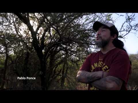 Conocimientos sobre hierbas medicinales - Toay, La Pampa